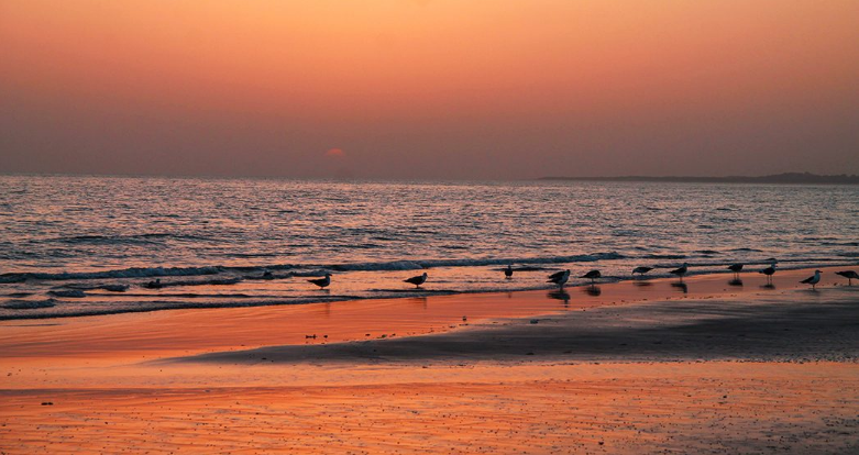 Mandvi: The Coastal Jewel of Kutch