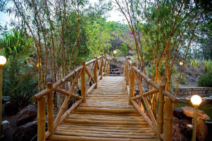 Ishwariya Park, Rajkot - A Perfect Blend of Nature, Peace, and Recreation