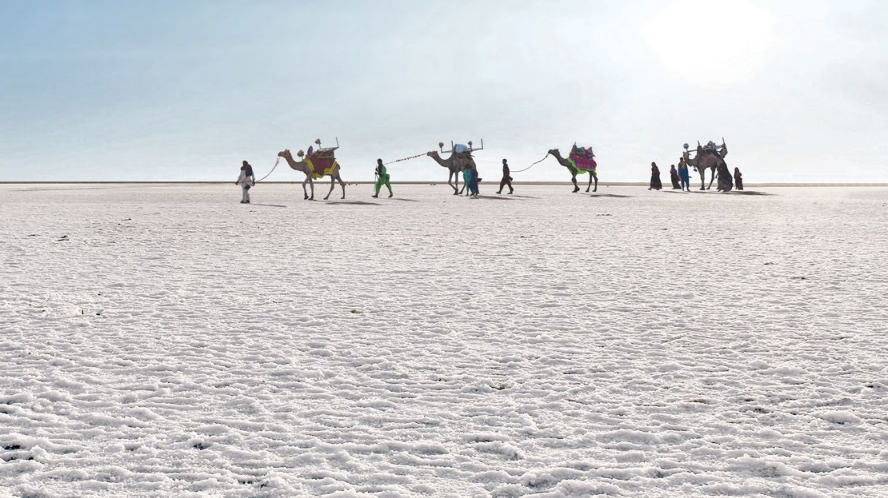 White Rann of Kutch - A Dazzling Desert Wonderland