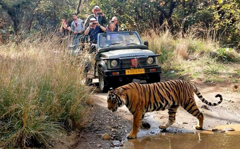 Jaipur Ranthambore Weekend Tour